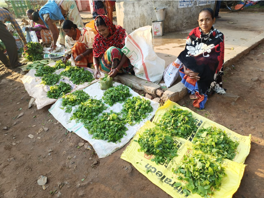 ଖରା ଦିନ ରେ ପ୍ରଥମ ପସନ୍ଦ ବରିଡା ଶାଗ