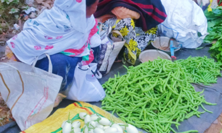 ପନିପରିବା ଚାଷ ନାହିଁ, ବାହାର ଜିଲ୍ଲାକୁ ଭରସା