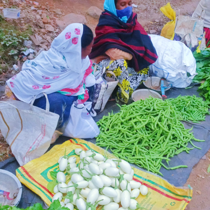 ପନିପରିବା ଚାଷ ନାହିଁ, ବାହାର ଜିଲ୍ଲାକୁ ଭରସା