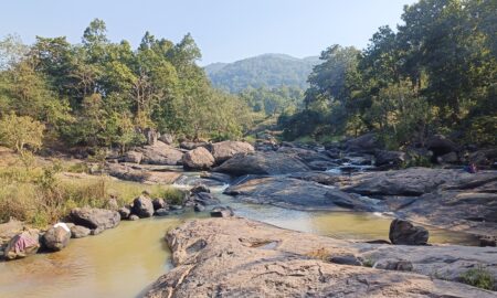 ପିକନିକ ପାଇଁ ପ୍ରଥମ ପସନ୍ଦ ବାଦୁବାଡି