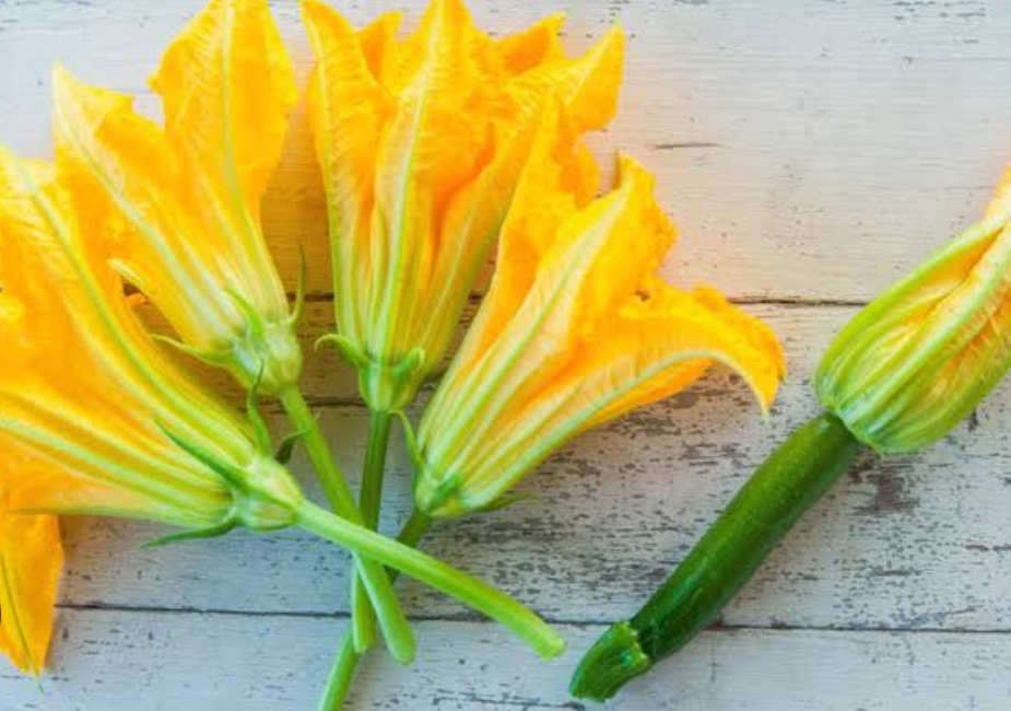 ରୋଗ ପ୍ରତିରୋଧକ ଶକ୍ତି ବୃଦ୍ଧି କରେ କଖାରୁଫୁଲ