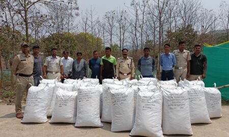 ଅବକାରୀ ବିଭାଗ ସ୍ବତନ୍ତ୍ର ସ୍କ୍ୱାର୍ଡ ଦ୍ଵାରା   8 କୁଇଣ୍ଟାଲ୍ 50 କେଜି ଗଞ୍ଜେଇ ଜବତ