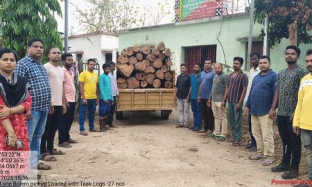 ଶାଗୁଆନ କାଠ ଚୋରା ଚାଲାଣ ଉଦ୍ୟମ, ଜବତ କରିଲା ଜଙ୍ଗଲ ଓ ପରିବେଶ ବିଭାଗ