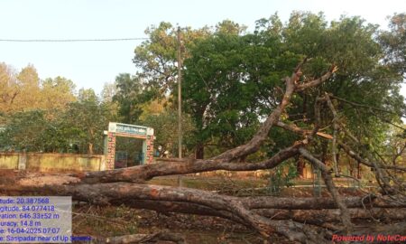 ଗଛପଡି ଛିଣ୍ଡିଯାଇଥିବା ବିଦ୍ୟ ସଜାଡି ପାରୁନି ବିଦ୍ୟୁତ୍ ବିଭାଗ , ଚାରିଦିନ ଦିନ ଧରି ଅନ୍ଧାରରେ ଶାଶିପଦର ଗ୍ରାମ ବାସୀ