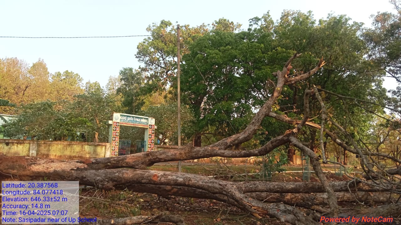 ଗଛପଡି ଛିଣ୍ଡିଯାଇଥିବା ବିଦ୍ୟ ସଜାଡି ପାରୁନି ବିଦ୍ୟୁତ୍ ବିଭାଗ , ଚାରିଦିନ ଦିନ ଧରି ଅନ୍ଧାରରେ ଶାଶିପଦର ଗ୍ରାମ ବାସୀ