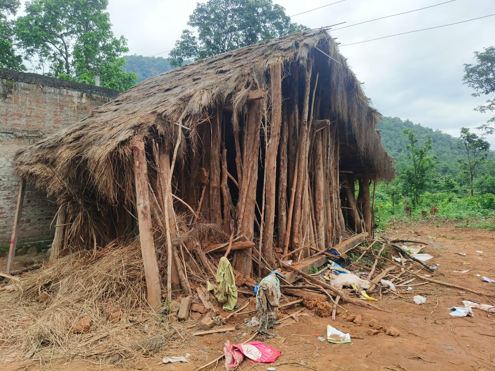 ହାତୀ କୁ ନେଇ ଭୟଭୀତ ଗ୍ରାମବାସୀ, ସୁରକ୍ଷା ଯୋଗାଇବାକୁ ଦାବୀ